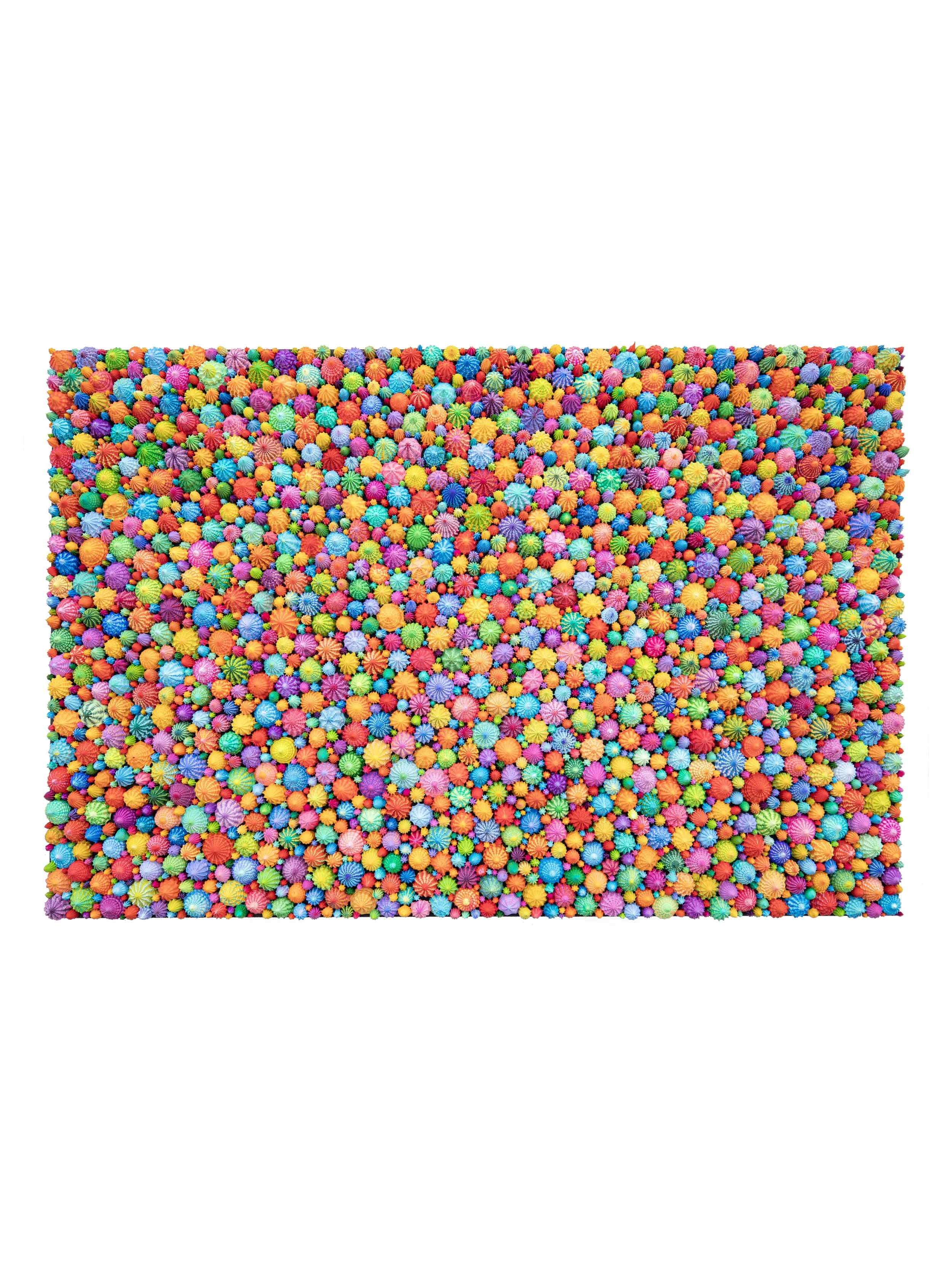ZACH FRANK ORIGINAL PAINTINGS — Zach Frank & Co.